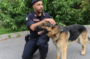 VENEZIA: OPERAZIONE DI CONTROLLO DELLA POLIZIA, NEI GUAI UN 58ENNE